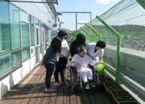 aa